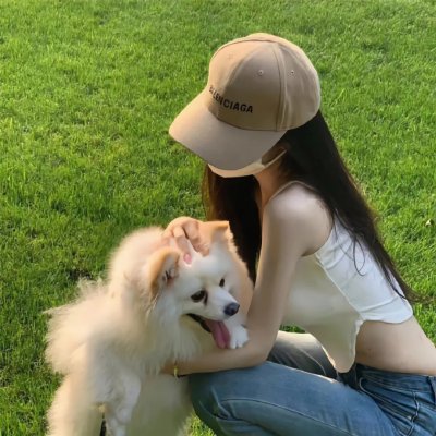 吉娃娃
